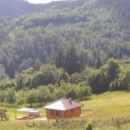 Turizam Koturovic Panzió Ivanjica Kültér fotó