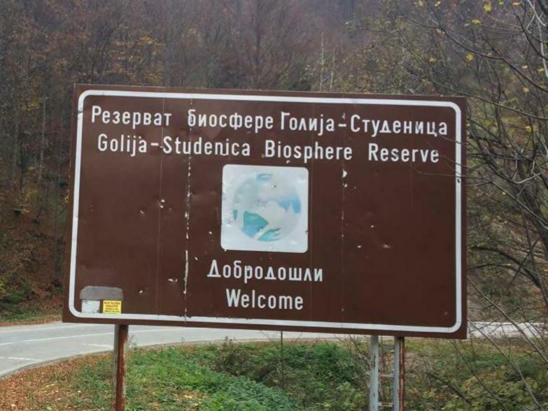 Turizam Koturovic Panzió Ivanjica Kültér fotó