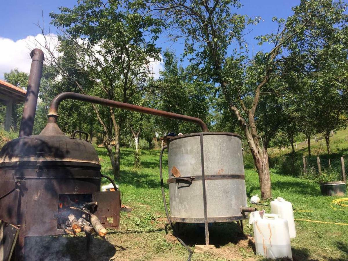 Turizam Koturovic Panzió Ivanjica Kültér fotó