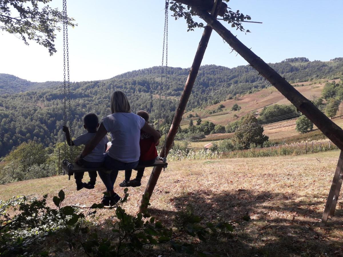 Turizam Koturovic Panzió Ivanjica Kültér fotó